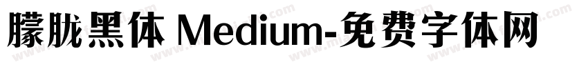 朦胧黑体 Medium字体转换